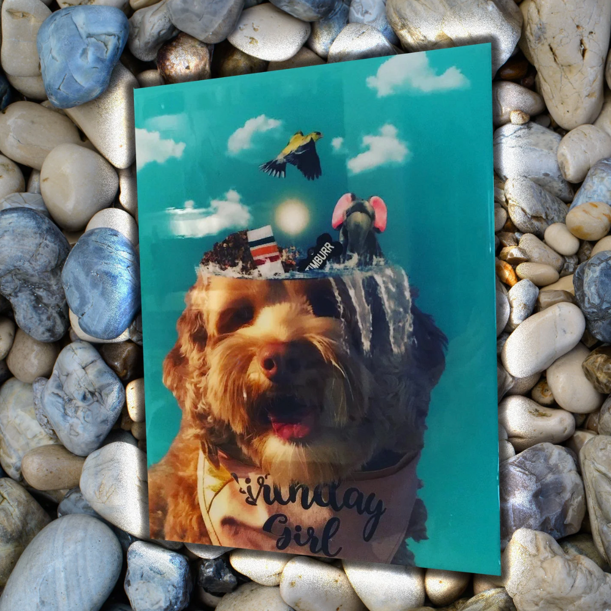 Digital Pet Manipulation Photo